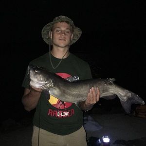 Meet your Posher, Steven